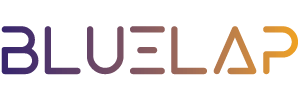 BlueLap Services